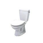 Bồn cầu 2 khối nắp rửa cơ INAX C-117A + CW-S15VN