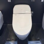 Bồn cầu điện tử GG TOTO C971 TCF9433A - Ảnh 3