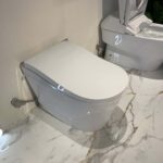 Bồn cầu thông minh Neorest LS TOTO CS911VT TCF87120GAA T53P100VR - Ảnh 6