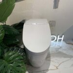 Bồn cầu thông minh Neorest DH TOTO CS988VT TCF9575Z T53P100VR - Ảnh 5
