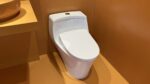 Bồn cầu TOTO MS823CDRW23 1 khối nắp điện tử Washlet S7 TCF47360GAA giấu dây - Ảnh 3