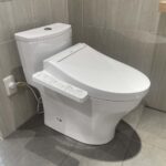 Bồn cầu TOTO MS885CDW17 1 khối nắp điện tử Washlet C2 TCF23460AAA giấu dây - Ảnh 2