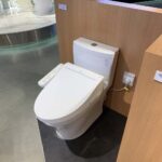 Bồn cầu TOTO MS889CDRW17 1 khối nắp điện tử Washlet C2 TCF23460AAA giấu dây - Ảnh 4