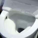Bồn cầu TOTO CS769DRW16 2 khối nắp điện tử Washlet C2 TCF23410AAA - Ảnh 10