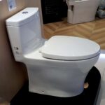Bồn cầu 1 khối TOTO MS889DRT3 nắp đóng êm TC385VS - Ảnh 3