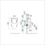 Tiểu nam treo tường TT3 - Ảnh 6