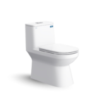 Bàn cầu một khối V816