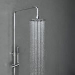 Sen cây VG596 - Ảnh 3