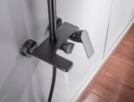 K06731GR SEN CÂY ĐEN TẮM ĐỨNG TITAN - Ảnh 14